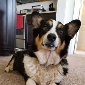 Meet your Posher, Alyssa